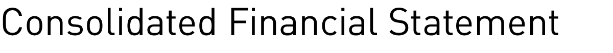 Consolidated Financial Statement