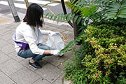 Carried out a regular cleanup activity in Shibuya's Nampeidai-cho neighborhood