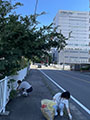 東京都渋谷区南平台町定例清掃活動を実施しました。