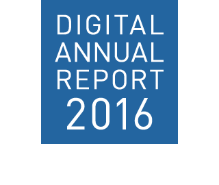 FIELDS CORPORATION DIGITAL ANNUAL REPORT 2016