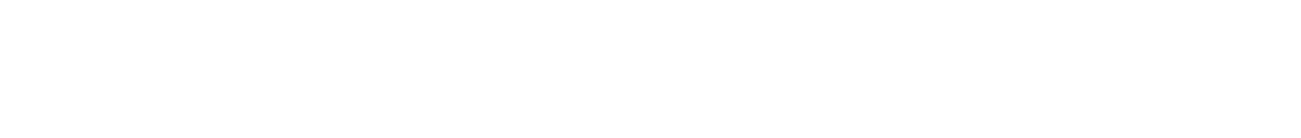 事業活動レビュー