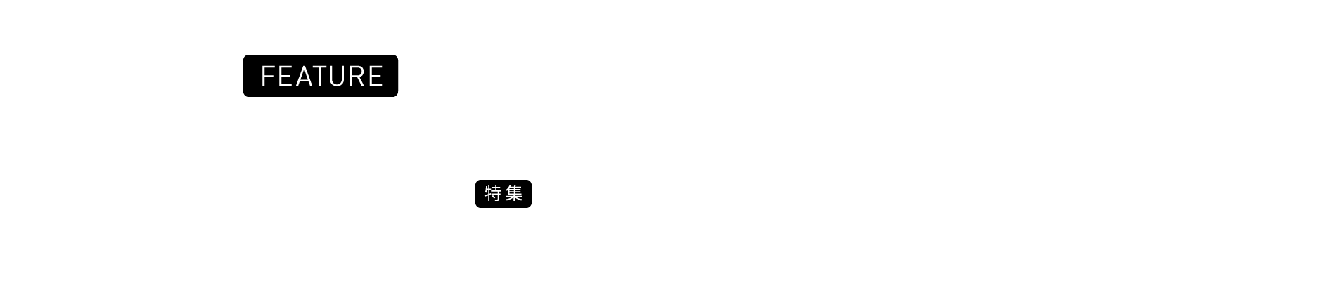 特集：フィールズの事業戦略 ～第28回定時株主総会プレゼンテーションより～