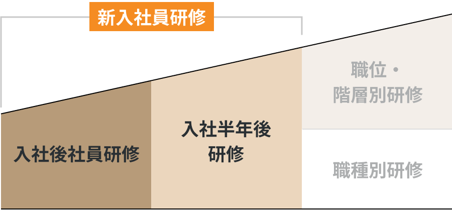 新入社員研修として、入社後社員研修と入社半年後研修がございます。その後に職位・階層別研修と職種別研修へと続きます。